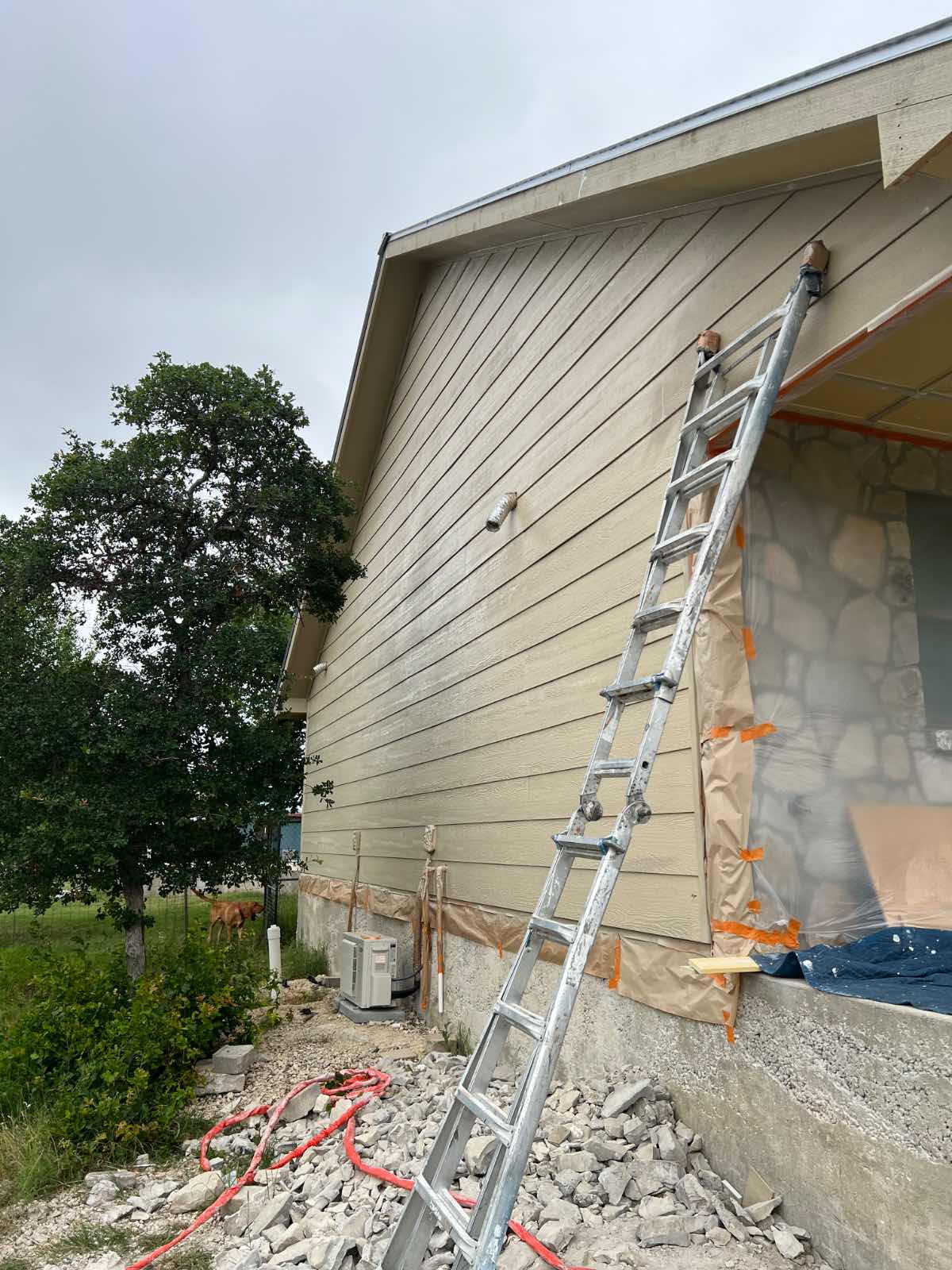 Exterior house painting service in progress
